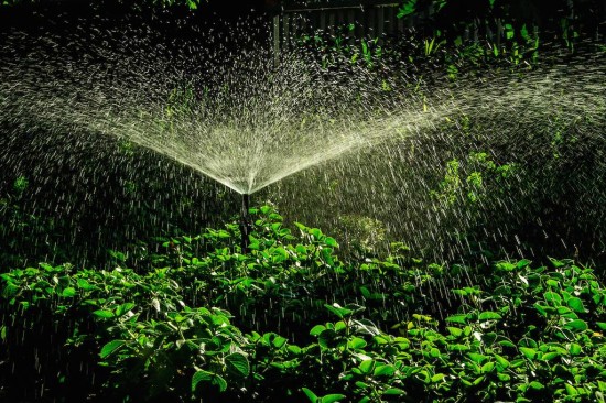 Garden-Sprinkler by Thangaraj Kumaravel (CC BY 2.0)