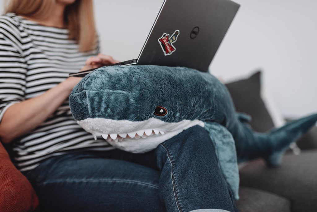 Auf einem Sofa sitzt eine Person. Auf dem Schoß liegt ein Stoff-Hai, auf dem Rücken des Hai liegt ein Laptop, an dem gearbeitet wird.
